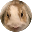 cw t profile picture